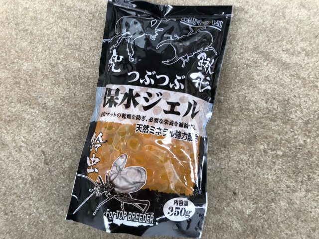 100均で一式揃う カブトムシ クワガタなどの昆虫飼育グッズ 100円ショップ Flet S フレッツ 百圓領事館